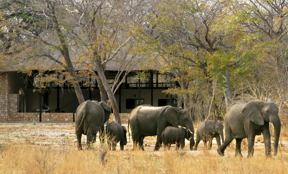 Gwango Heritage Resort Dete Buitenkant foto