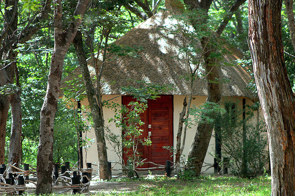 Gwango Heritage Resort Dete Buitenkant foto