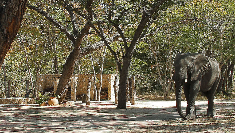 Gwango Heritage Resort Dete Buitenkant foto