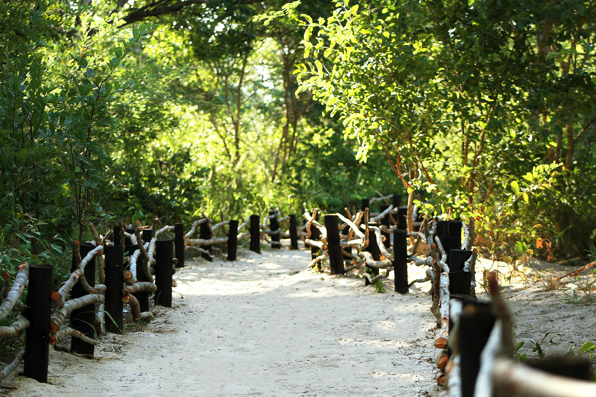 Gwango Heritage Resort Dete Buitenkant foto